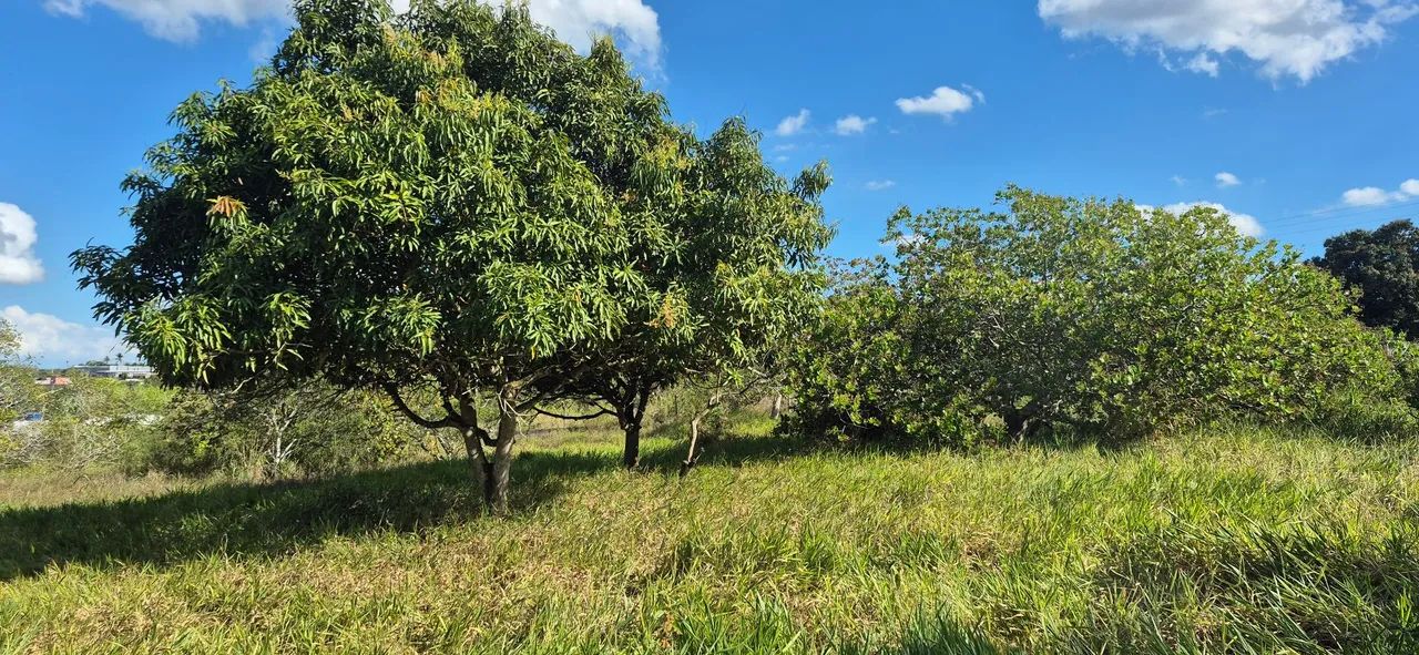 Lote a 4km da praça do Tomba