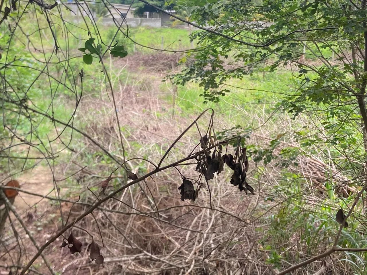 Troco ou vendo - Foto 5