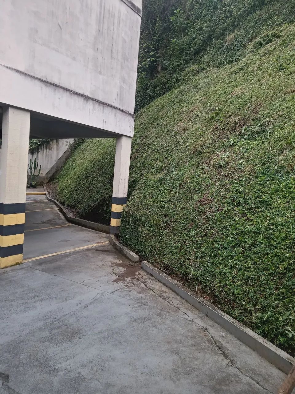 RR jardinagem 