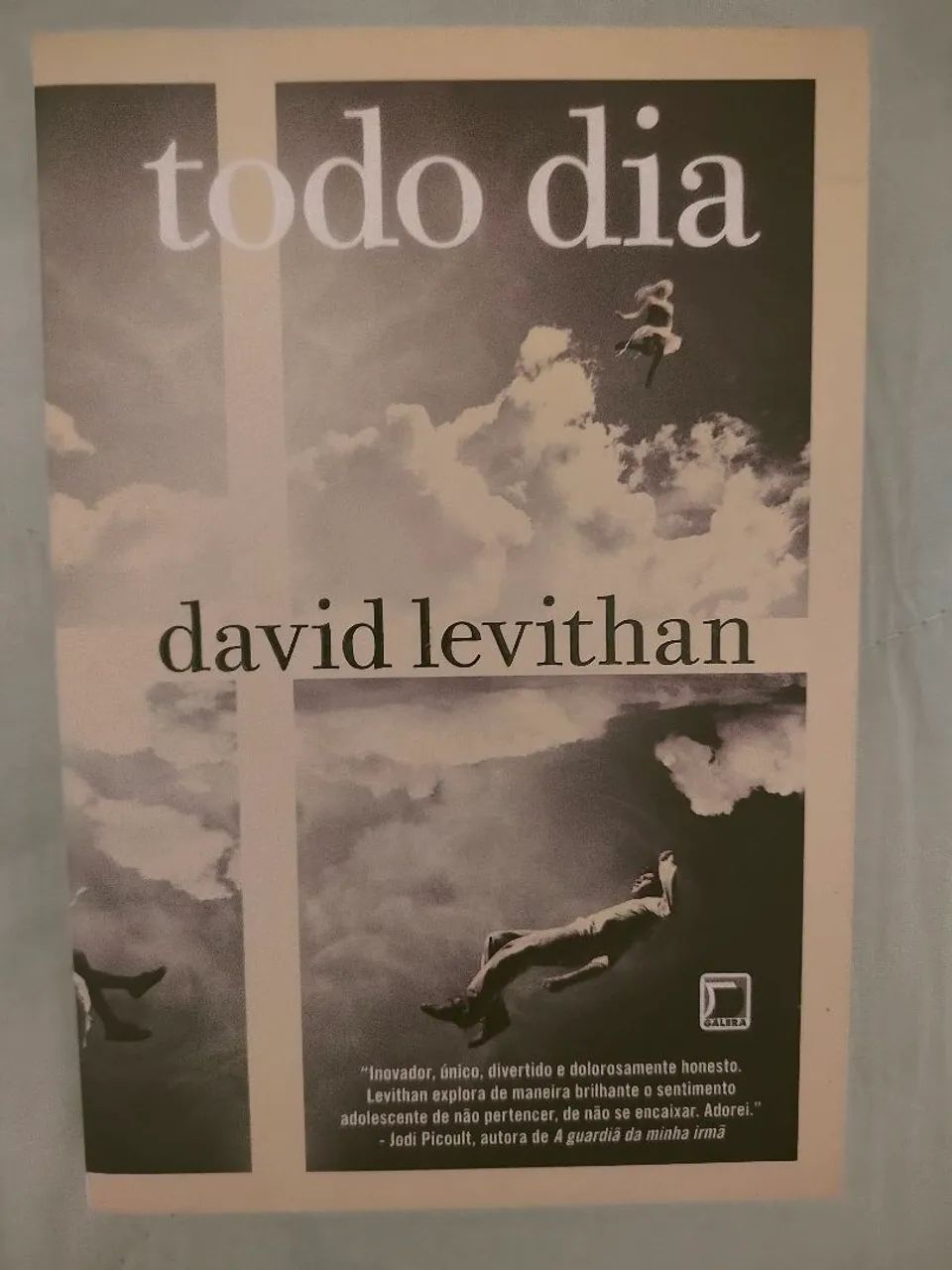 Livro todo dia David levithann