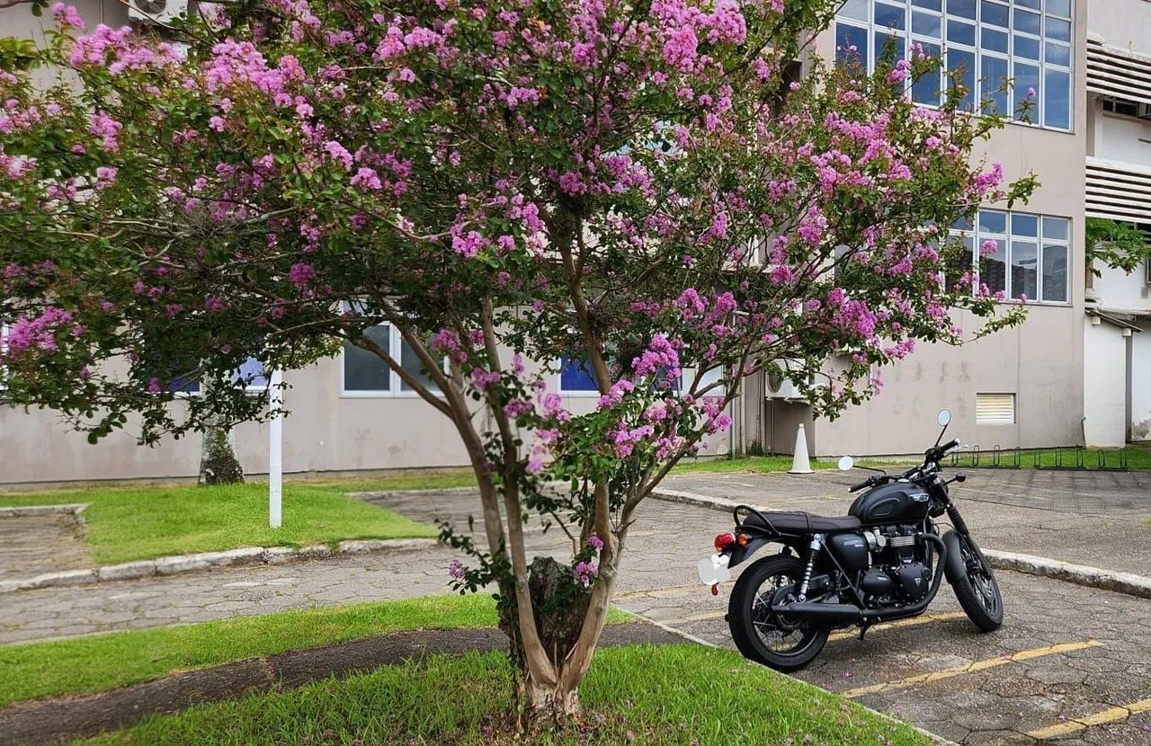 Triumph Bonneville 1200cc  3.400 mil Km