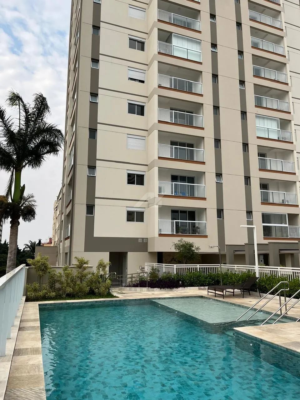 apartamento - Vila Itapura - Campinas - Foto 2