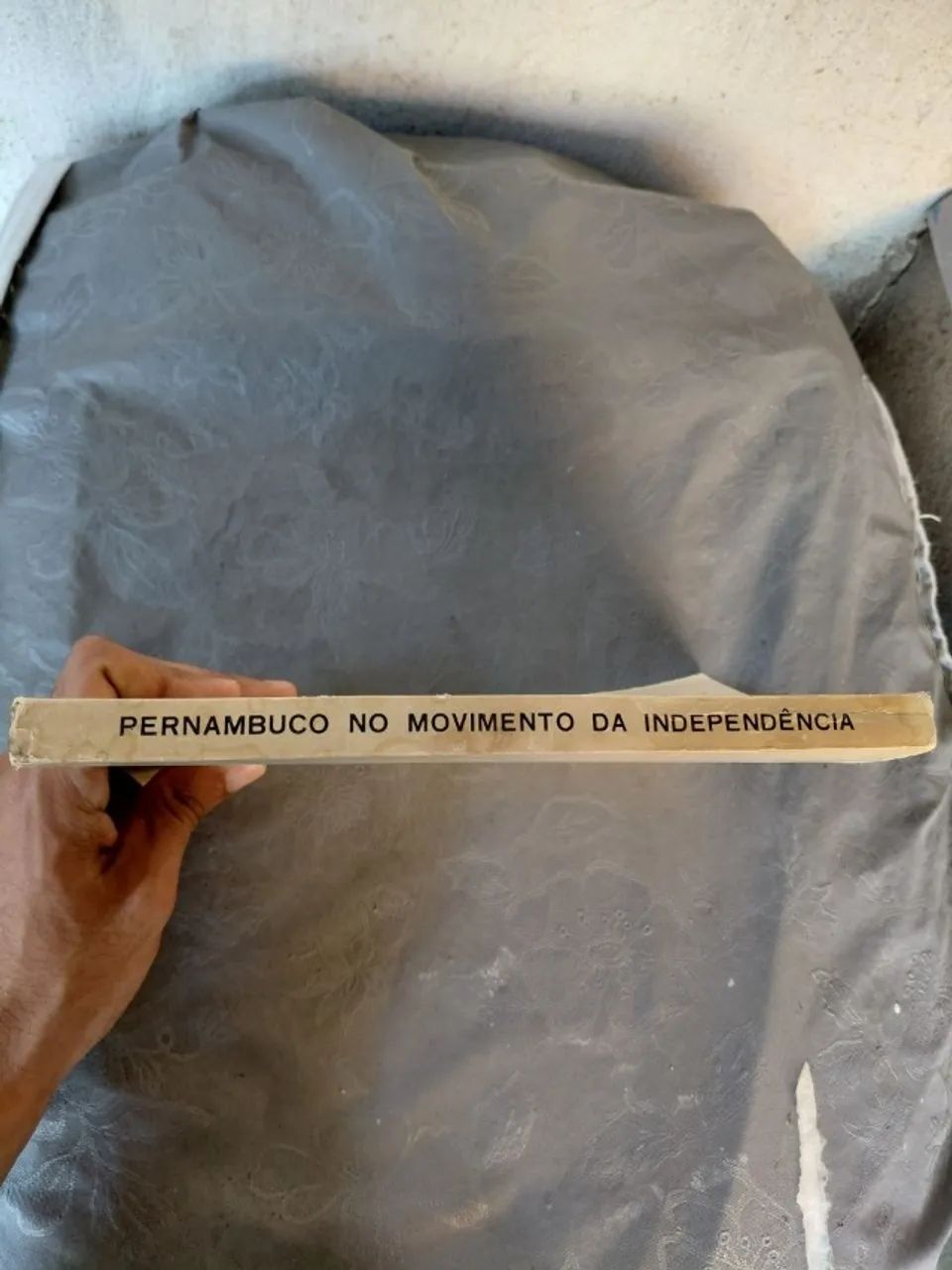 Pernambuco no Movimento da Independência - Estado de Pernambuco - Foto 3