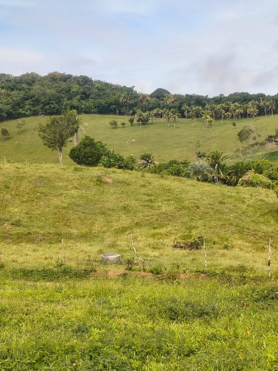 Fazenda com 150 tarefas - Foto 4