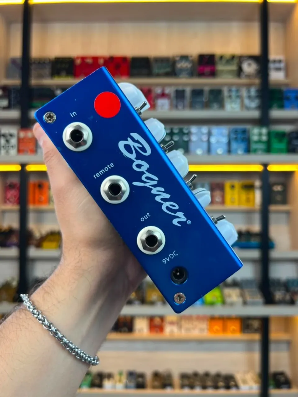bogner ecstasy