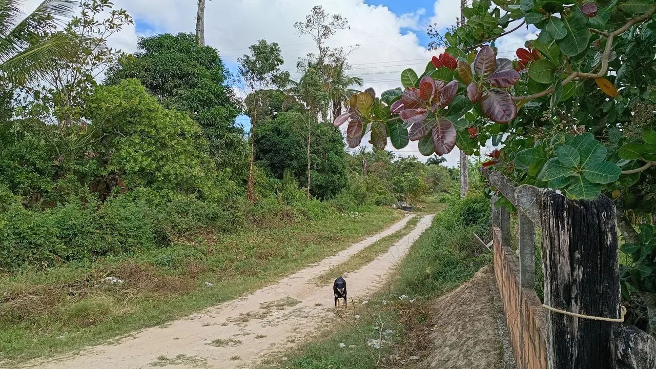 Vendo lotes em Maruim/SE - Foto 2