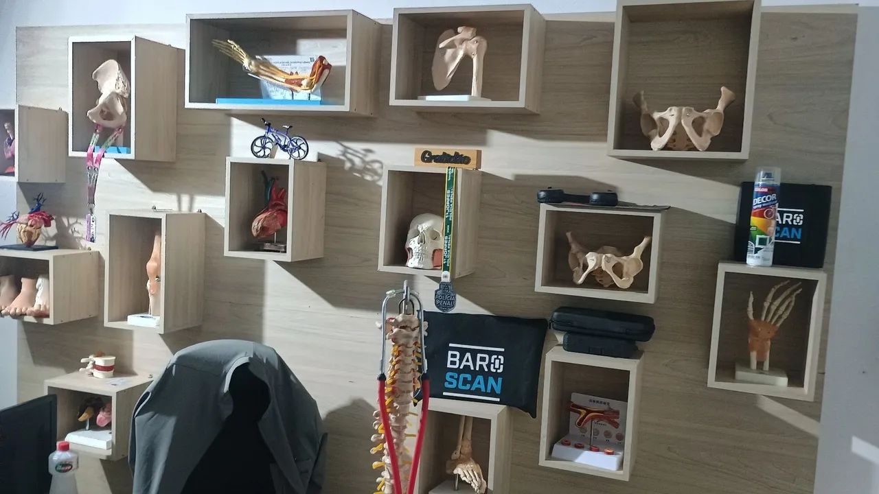 Modelos anatômicos variados 