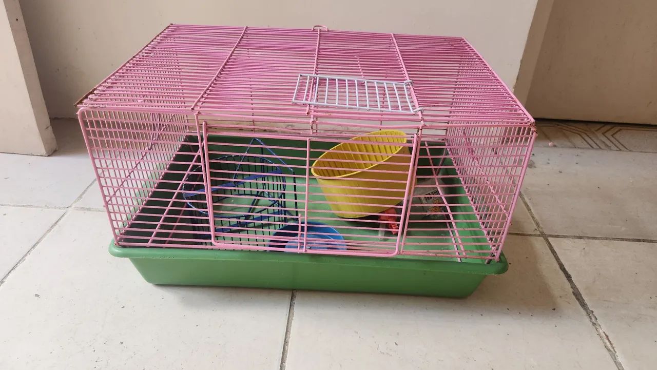 Gaiola para hamster ?  - Foto 3