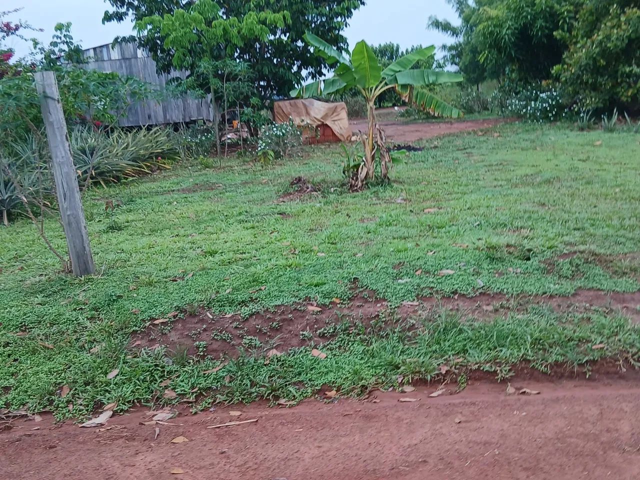Chácara Terra Prometida - Foto 3