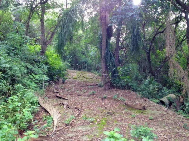 Terreno Comercial no Araçá, Florianópolis - Foto 2