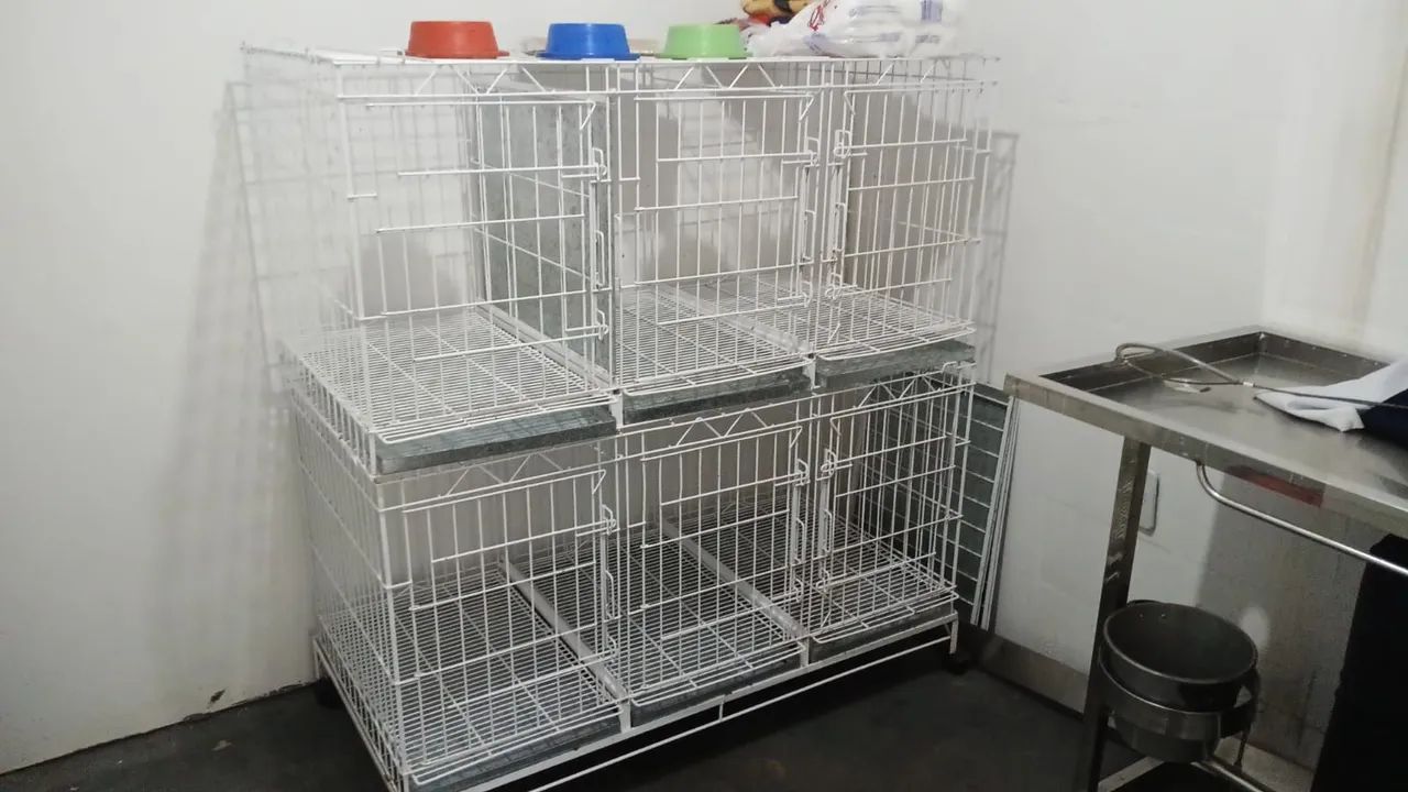 Gaiolas pet shop