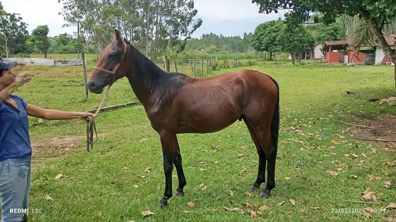 Vendo ou negocio - Foto 5