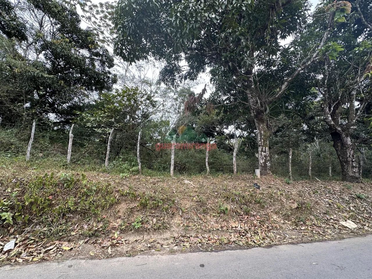 Gleba entre 788,98M² A 2509.85M² com documentação, localização privilegiada e pa - Foto 3
