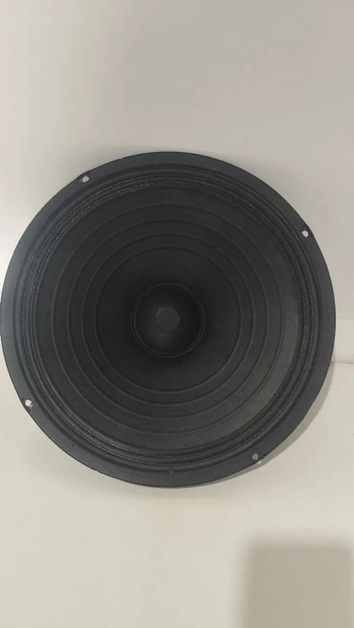 Alto-Falante de 10 Polegadas R$:100 Reais 