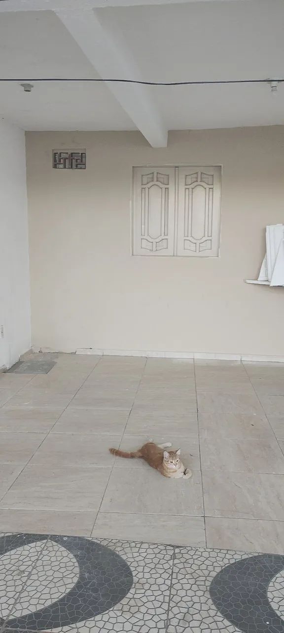 casa - Foto 3