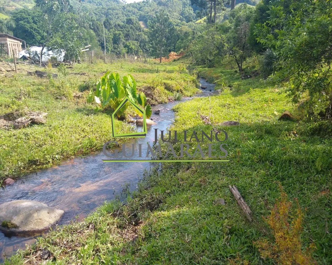 SÍTIO EM ANITÁPOLIS - Foto 5