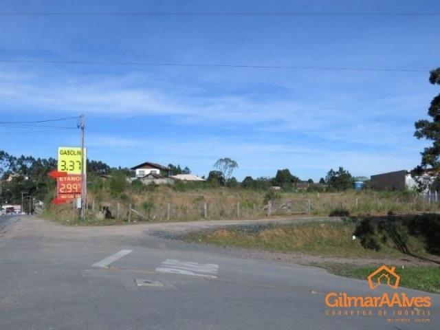 Terreno para Venda, 5.277,53 m², São Bento do Sul / SC, bairro Serra Alta - Foto 2