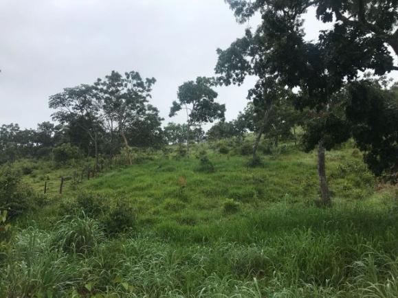 86 Alq 140 km de Goiânia - Foto 6