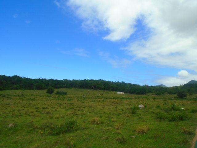 Código 223 Fazenda localizada no Retiro, próxima a RJ 106, Maricá-RJ - Foto 7