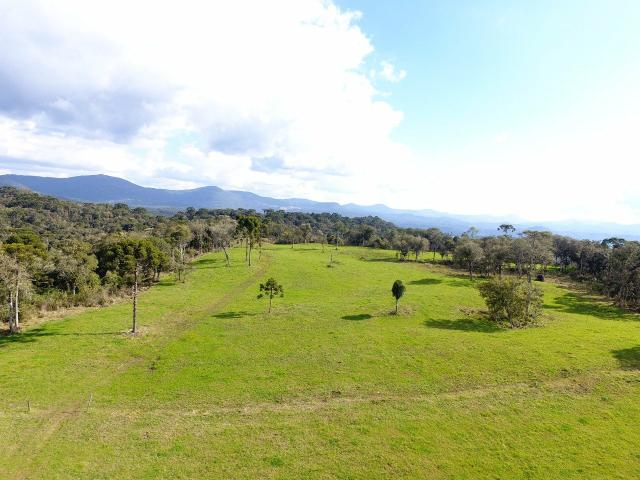 Sítio em Urubici/chácara em Urubici/terreno em Urubici - Foto 5