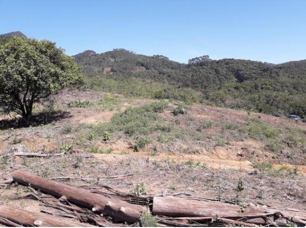 Sítio Localizado na Estrada Geral, Alto Braço Baú, 45 mil m² - Foto 11