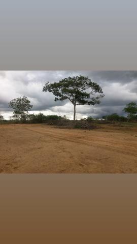 Chácara São Jorge - 1.000 m2 - R$ 170,00 parcelas - ÚLTIMAS UNIDADES ! - Foto 4