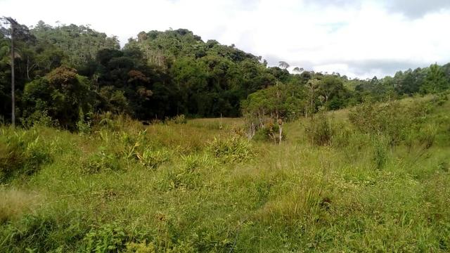 Boa para pecuária - Foto 2