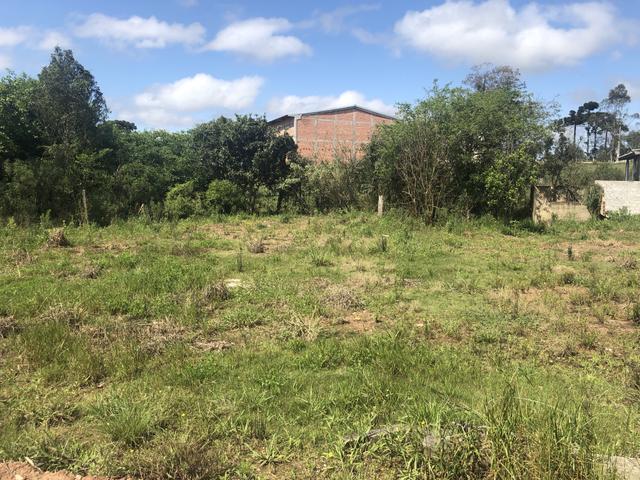 Terreno na Colônia Murici próximo ao Caminho do Vinho - SÃO JOSÉ DOS PINHAIS