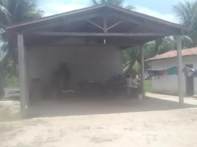 16 Ha irrigado Baixa Acaraú próximo do Marco - Foto 14