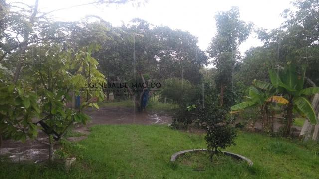 Chácara, Zona Rural, São Gonçalo dos Campos-BA - Foto 8