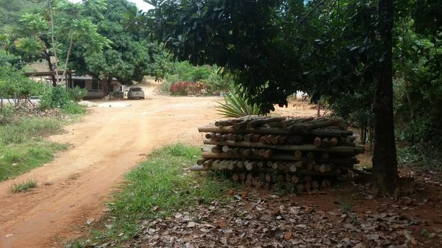 Sítio Próximo ao Trevo de Pacas X Colatina - Foto 8