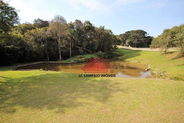 Chácara toda documentada com área de 36.000 m² (1,5 alqueire), toda cercada, com 4 tanques - Foto 20