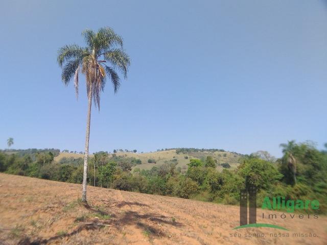 Fazenda Em Pouso Alegre - Foto 9