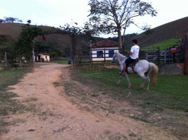 Linda Fazenda no Vale do Paraiba, porteira fechada - Cód 1505 - Foto 15