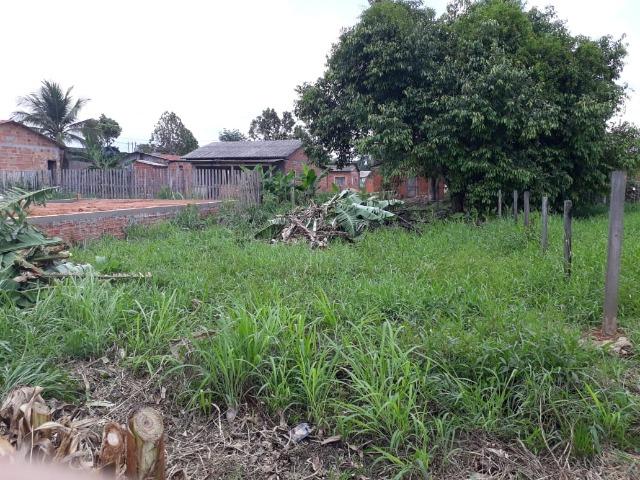 Terreno - Foto 2