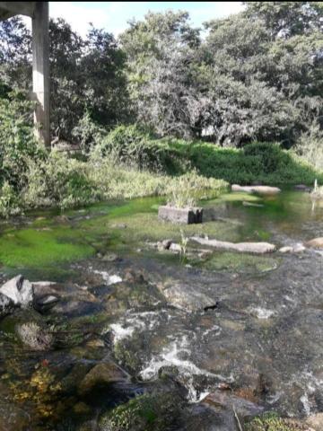 Fazenda rural em forquilha - Foto 12