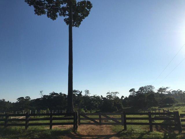 Fazenda no Acre - Foto 6