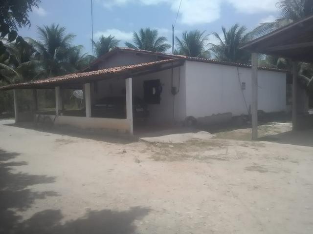 16 Ha irrigado Baixa Acaraú próximo do Marco - Foto 13
