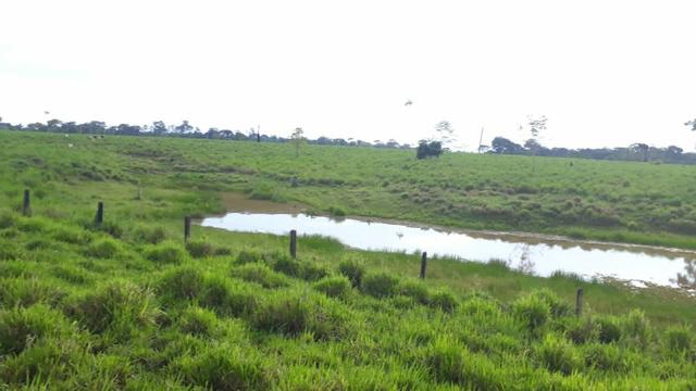 Fazenda no Acre - Foto 2