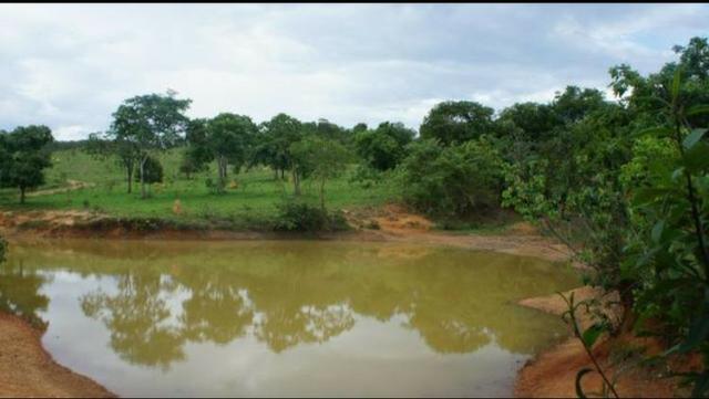 Fazenda 225 km de Goiânia município de Ipameri - Foto 8