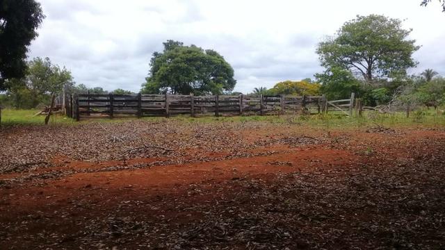 Fazenda de 138 alqs. na região de Dois Irmãos - Foto 9