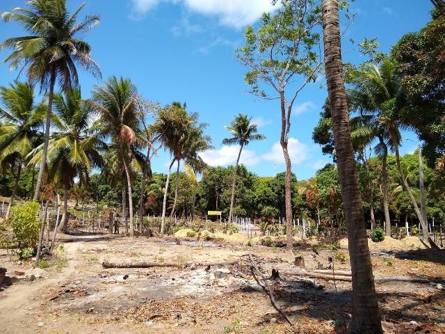 Lotes/Terrenos - Fragoso- Olinda - Foto 10