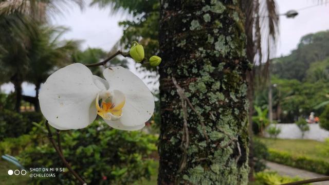 Sitio Semana Santa para sua igreja " Super Oferta" Aproveite em quanto da tempo - Foto 12