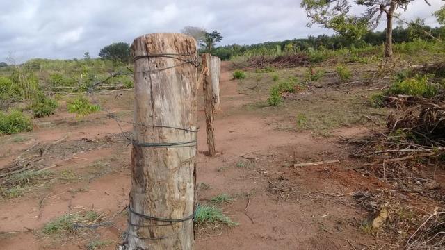 Fazenda de 138 alqs. na região de Dois Irmãos - Foto 6