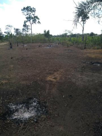 Terreno abreu elima
