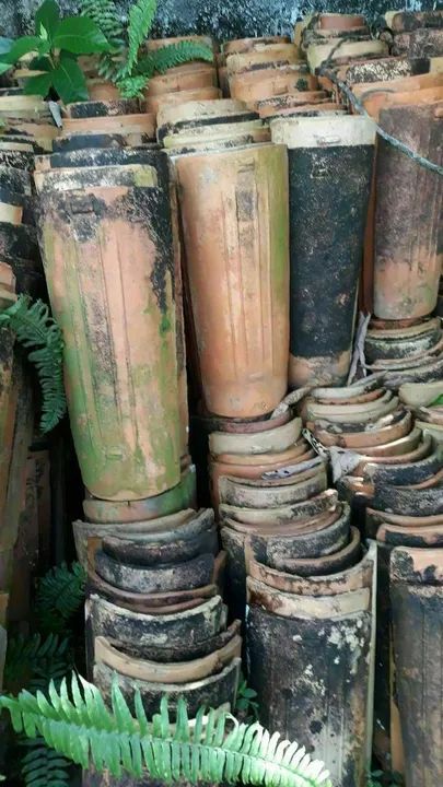 Common Clay Tiles64187032994305120