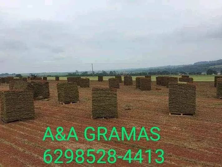 Grama para Jardim - A&A Gramas