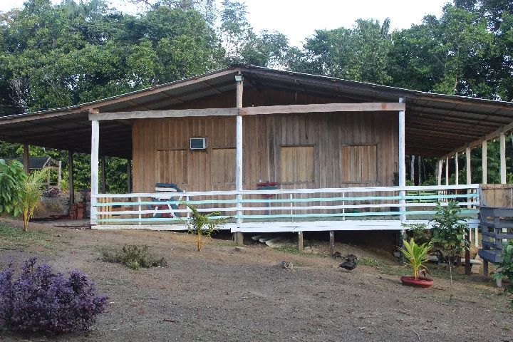 VENDO OU TROCO SÍTIO PERTO DE ITACOATIARA 130 TROCA ou VENDA - Foto 7