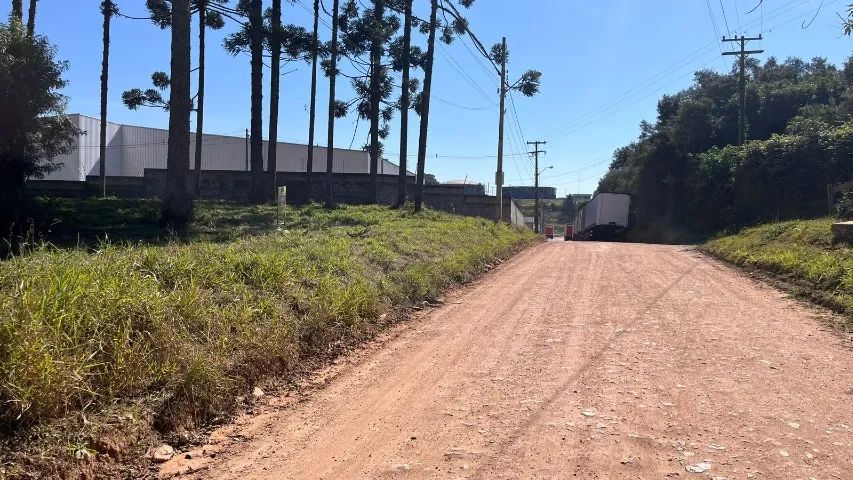 ÁREA EM SÃO JOSÉ DOS PINHAIS  - Foto 4