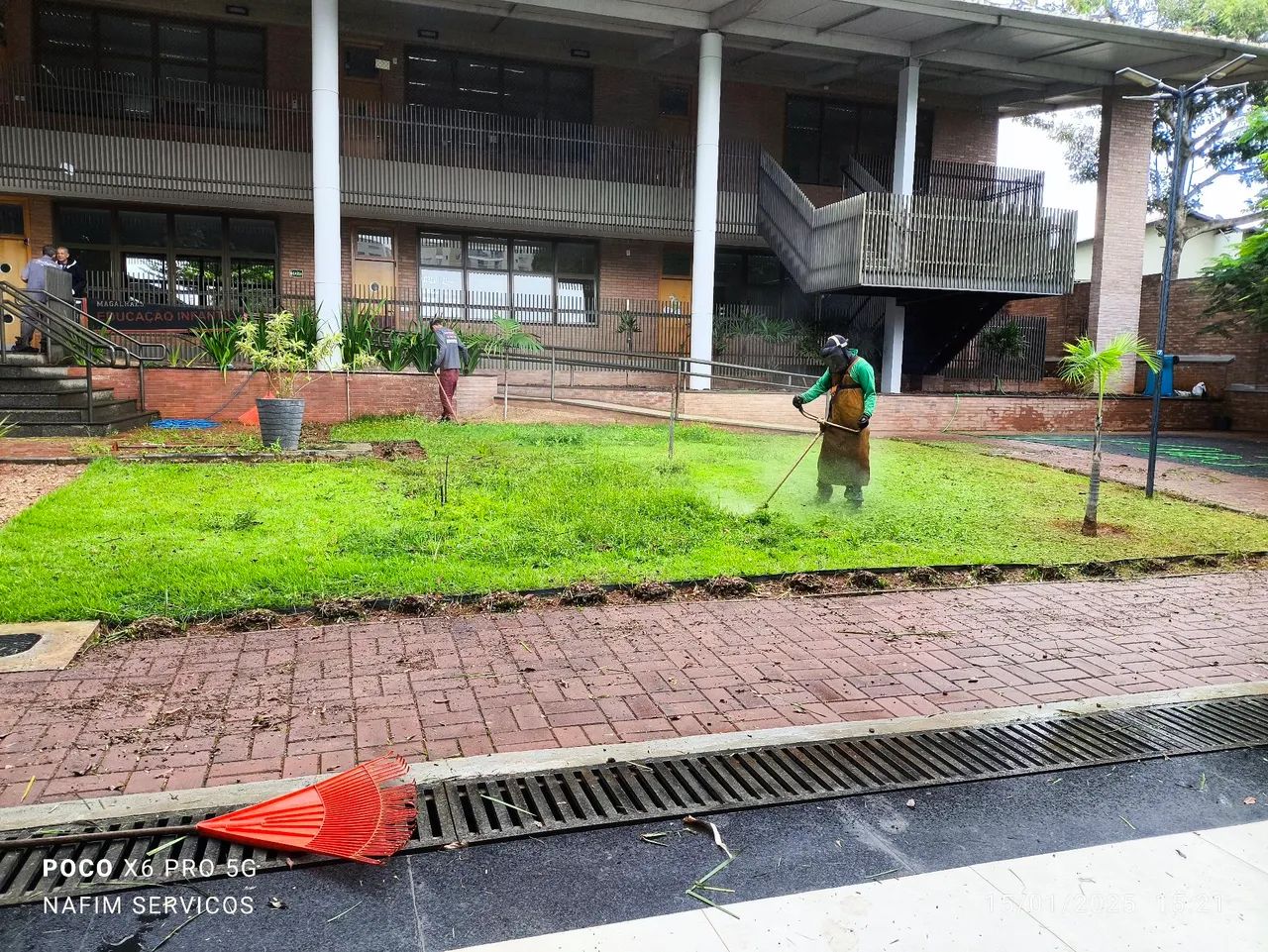 Serviços de jardinagem em geral - Foto 2